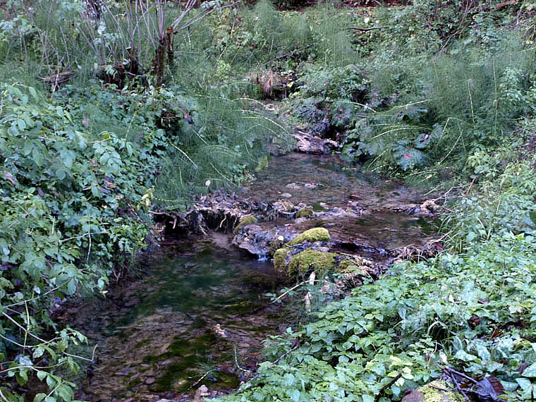 3_recupero_rio_tassaro_XA260907.jpg