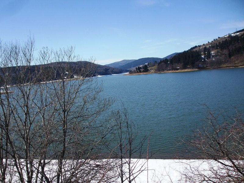 DSCF1485.JPG
