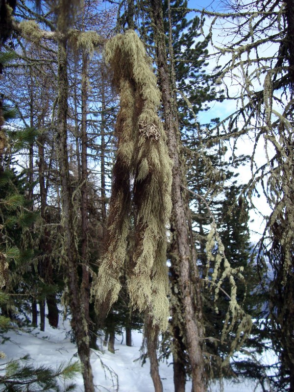 Col del Drink 23 01 2012 010_600x800.jpg