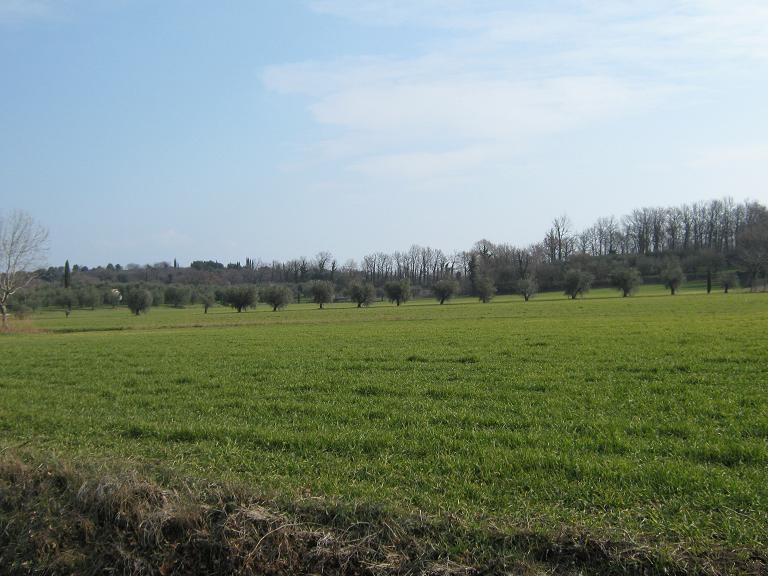 Immagine_27.jpg