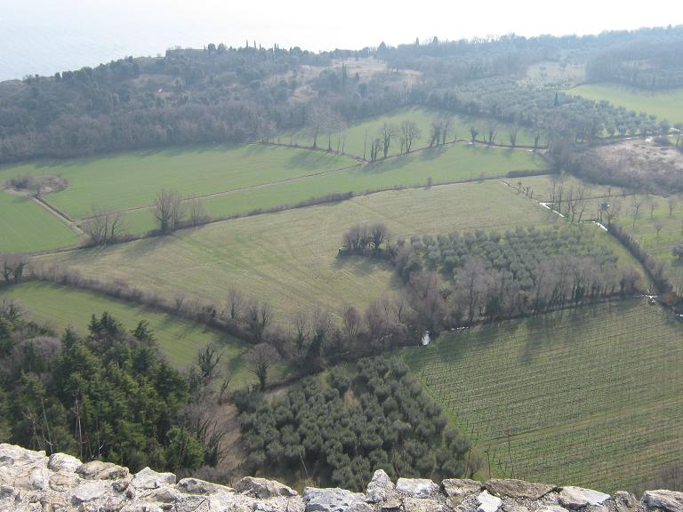 Immagine_30.jpg