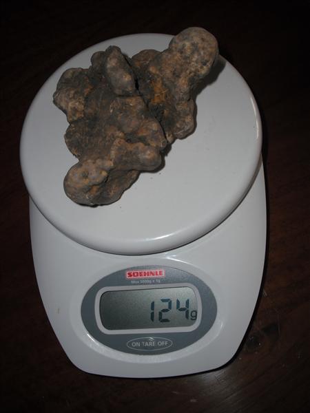 DSCF3061__Medium_.JPG