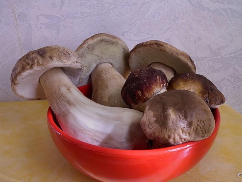 Natura_Viva__.jpg