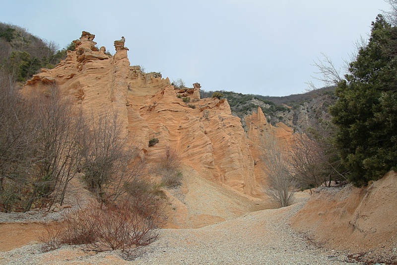 IMG_6692b.jpg