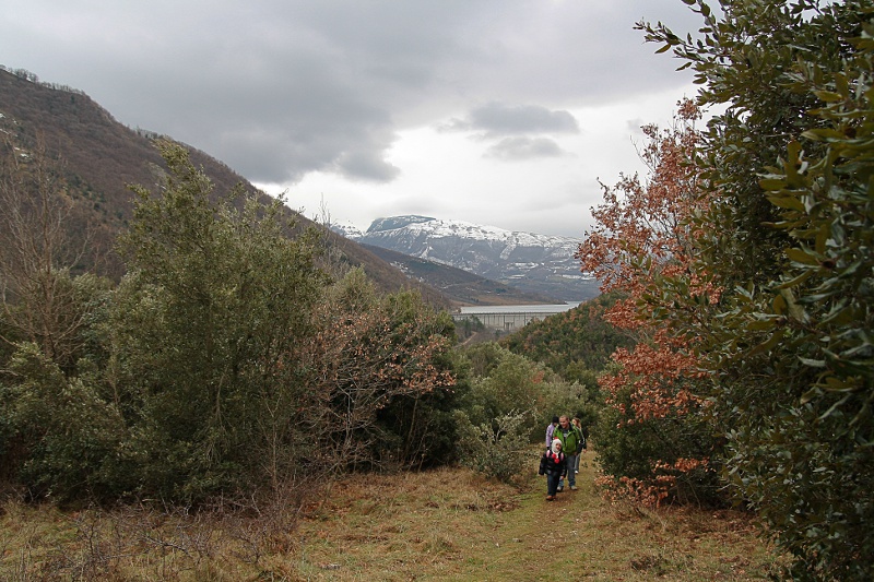 IMG_6687b.jpg