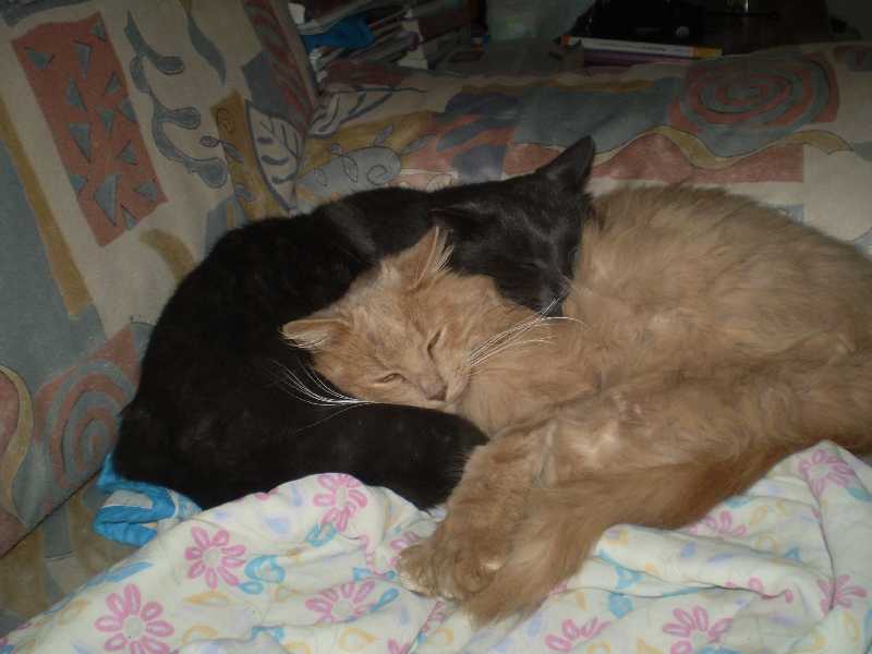 P1010027.JPG