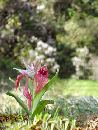 DSCN0048 ps.jpg
