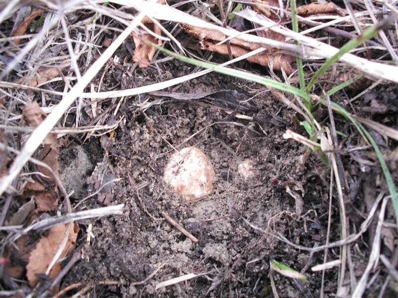 DSCF3011 (Medium).JPG