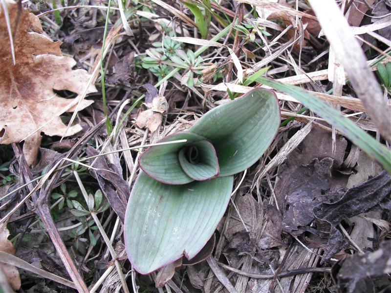 DSCF3012 (Medium).JPG