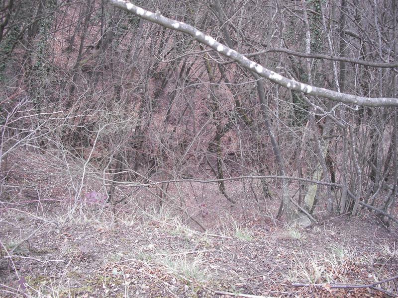 DSCF3015 (Medium).JPG