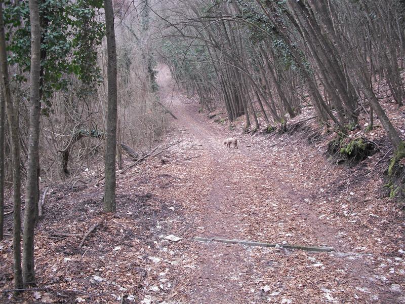 DSCF3019 (Medium).JPG