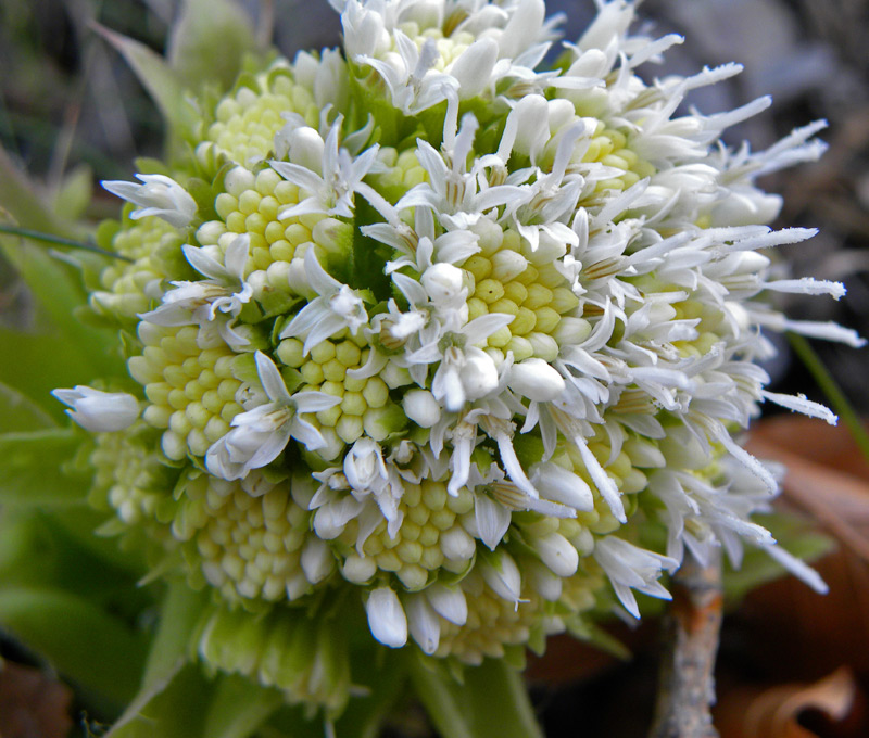 16-marzo-2012-021.jpg