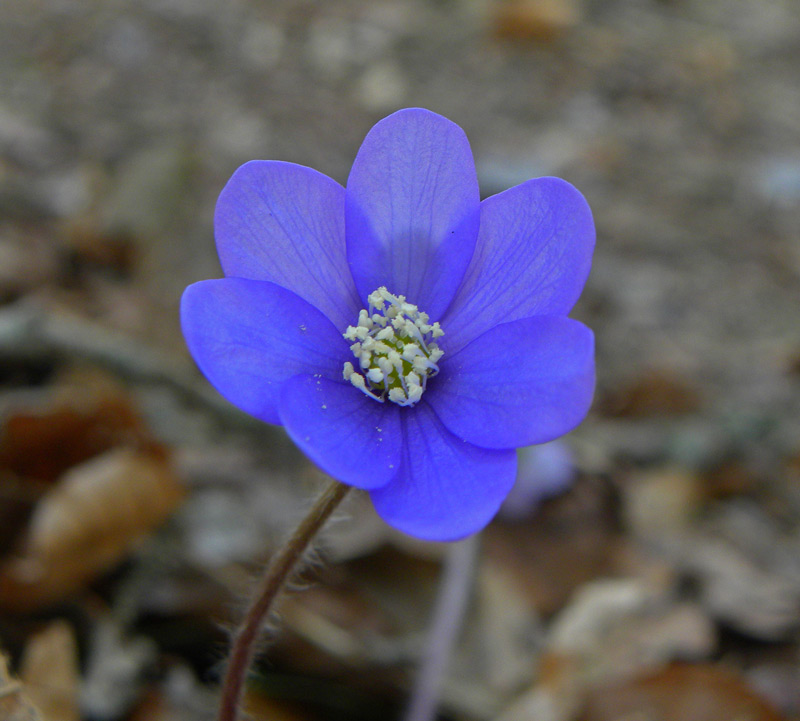 16-marzo-2012-008.jpg