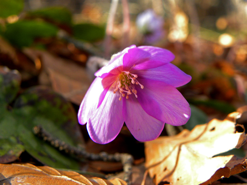 16-marzo-2012-011.jpg