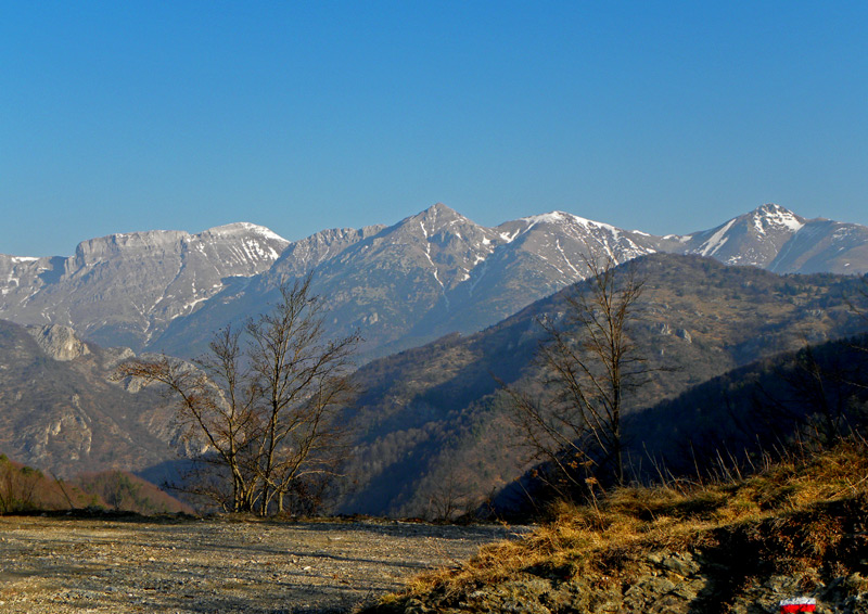 16-marzo-2012-005.jpg