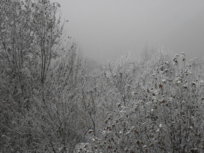 P90-2012-01-18-6223-Galaverna.jpg