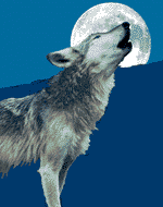 Canto alla luna....gif