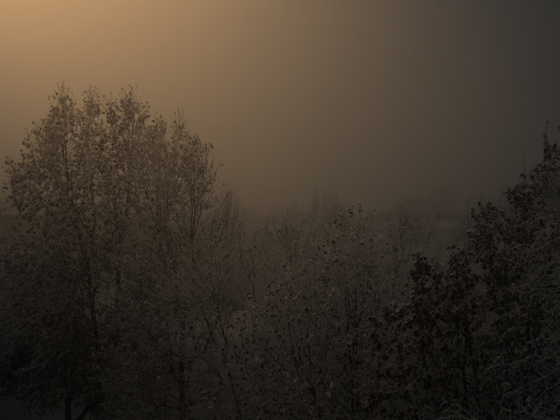 P90-2012-01-18-6220-Galaverna.jpg