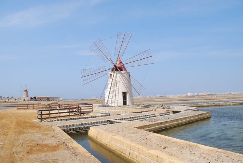 DSC_0020r.jpg