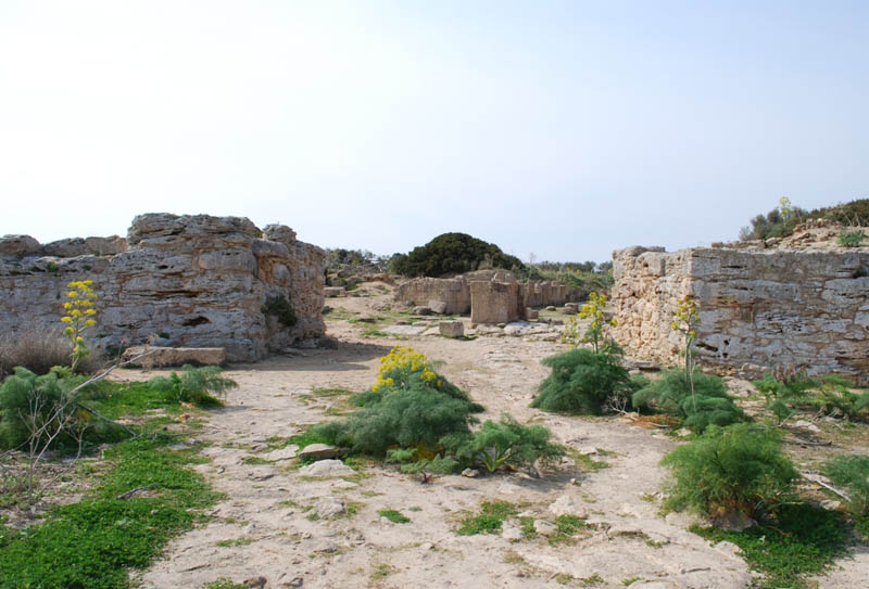 DSC_0008r.jpg