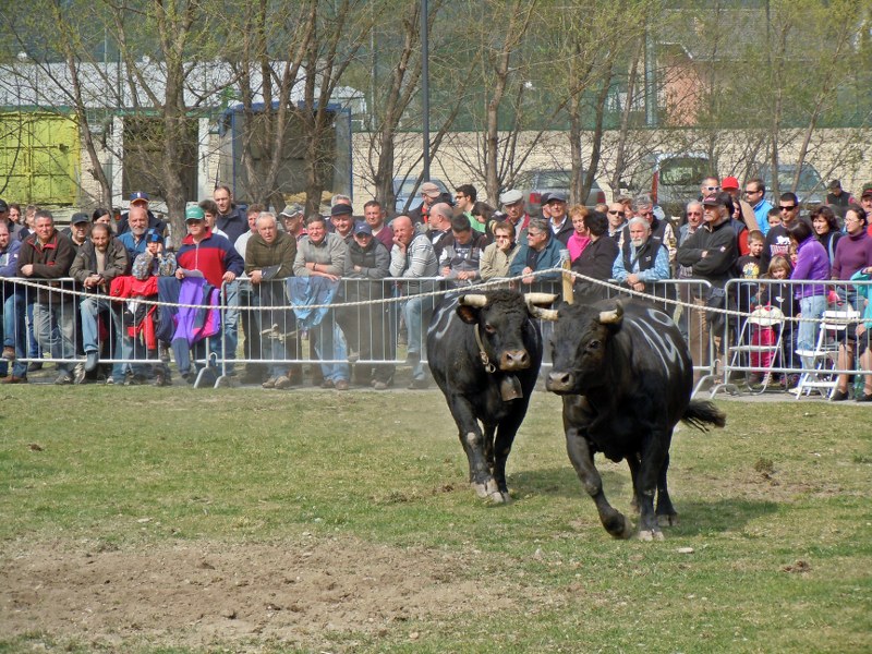 25 03 2012 005_800x600.jpg