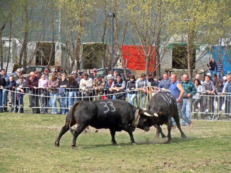 25 03 2012 004_800x600.jpg