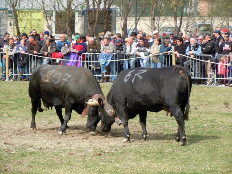 25 03 2012 002_800x600.jpg