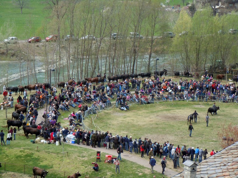 25 03 2012 012_800x600.jpg