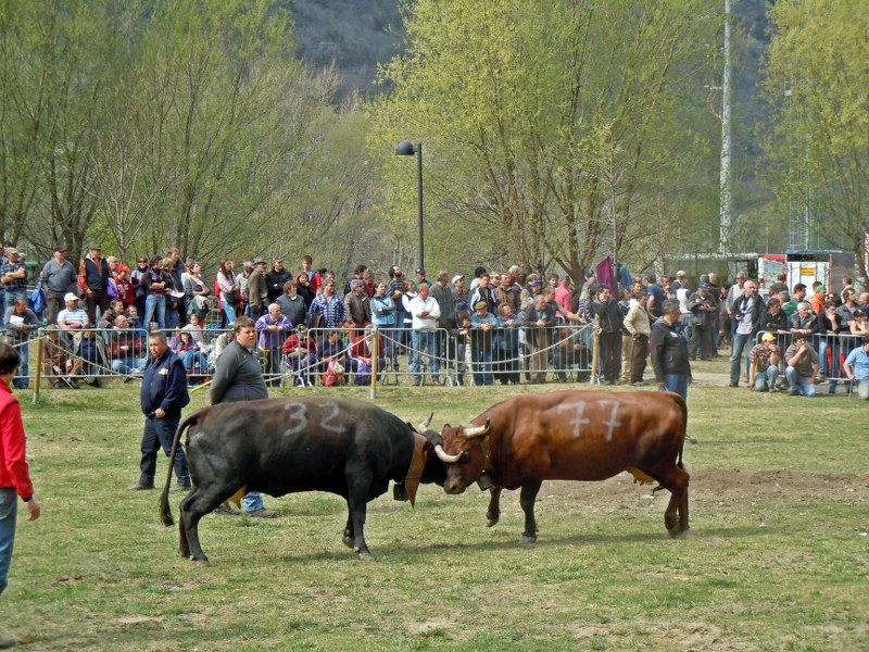 25 03 2012 003_800x600.jpg