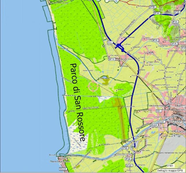 san rossore.jpg