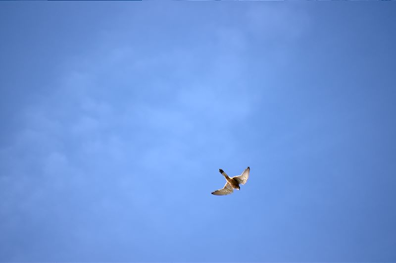 IMGP3904.jpg