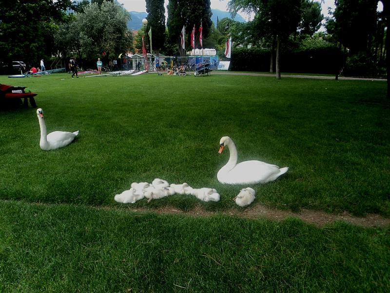 foto 013 (Medium).jpg