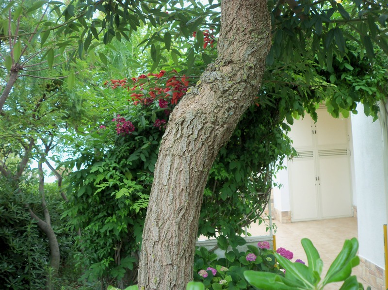 100_3554.JPG