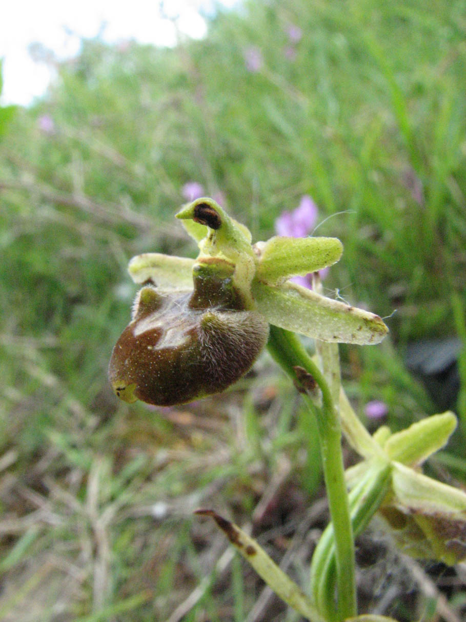 2011 496.jpg