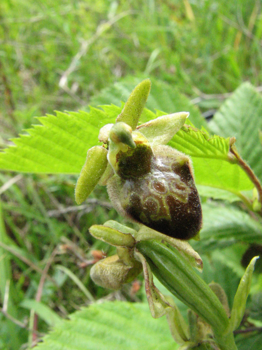 2011 499.jpg
