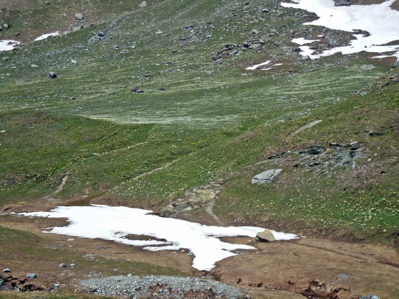 Miserin 090_800x600.JPG