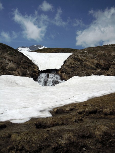 Miserin 084_450x600.JPG