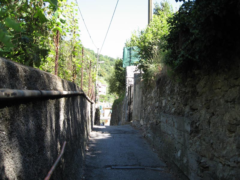 Immagine Allegata