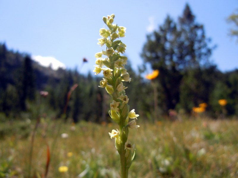 Lago Leser 05 07 11 021_800x600.jpg