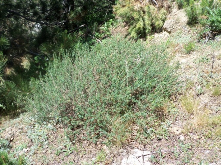 100_4588.JPG