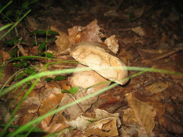 img5406.jpg