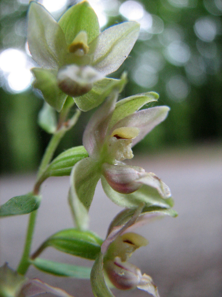 luglio2012 580.jpg