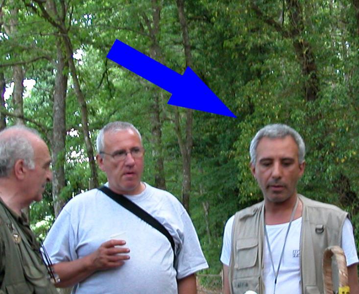 DSCN1175.jpg