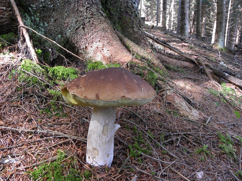 DSCN9802.JPG
