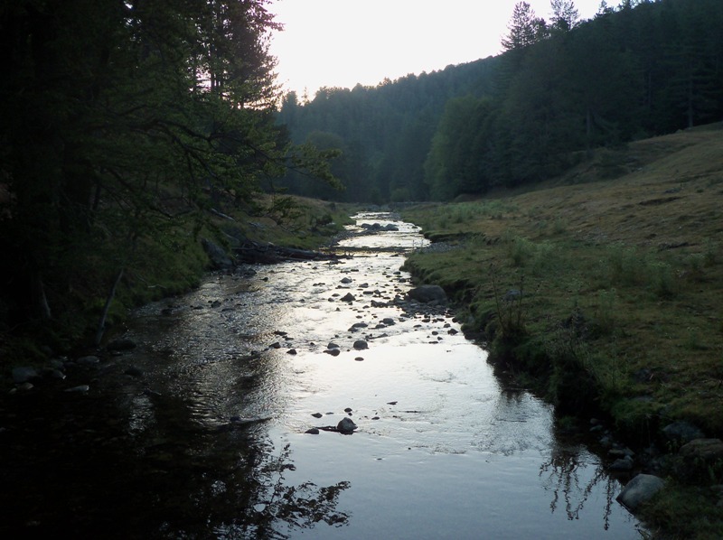 100_5282.JPG