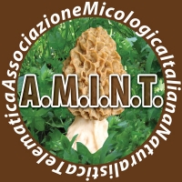 Logo_UFFICIALE 200200.jpg