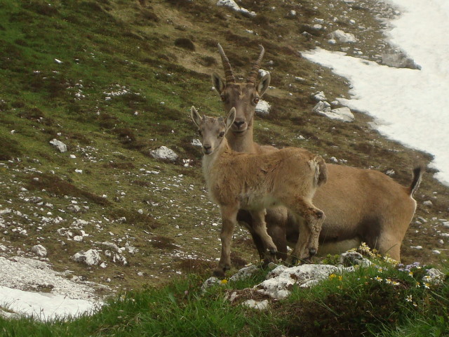DSC06412.jpg