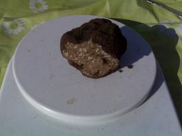 tartufo.JPG