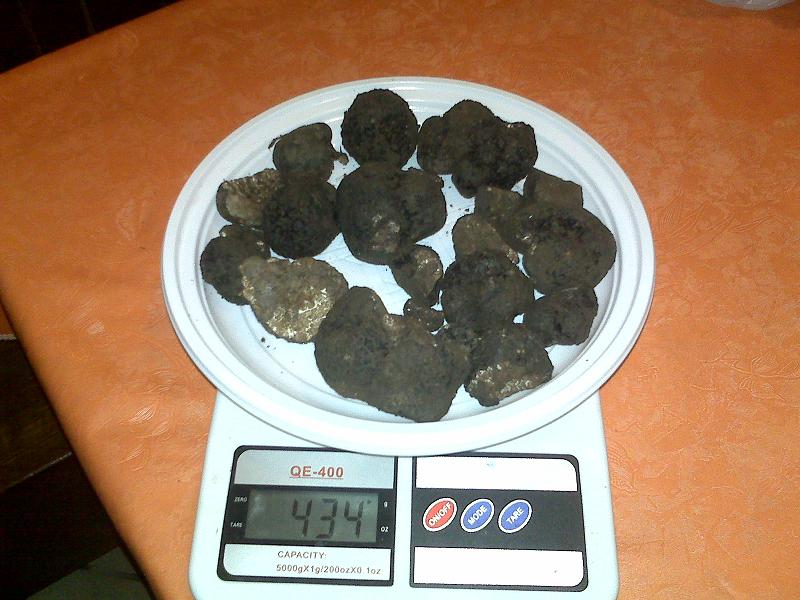 IMG00063.jpg