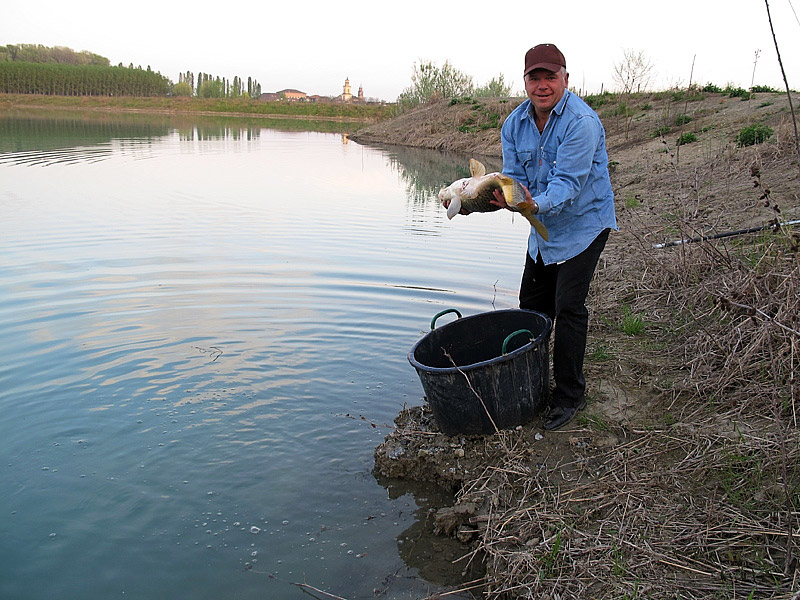 11-recupero-pesce-area-golenale del Po-gualtieri-CMG_0178.jpg